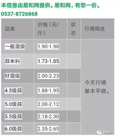 今日金乡大蒜价格行情，科技引领市场新纪元