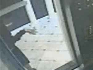 蓝可儿最新消息获取指南,适用于初学者与进阶用户的步骤教程