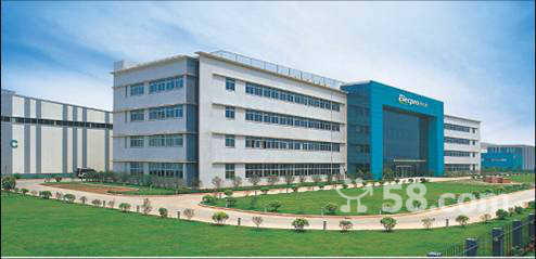 伊立浦最新动态,城市生活的温馨日常与友谊的魔法时刻