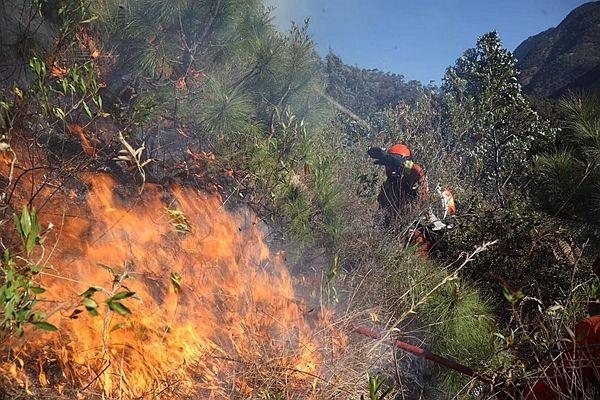 凉山新闻网最新消息速递，引领地区资讯，传递时代之声