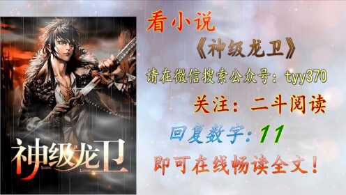 神级卫龙最新章节揭秘，小巷中的神秘宝藏阅读指南