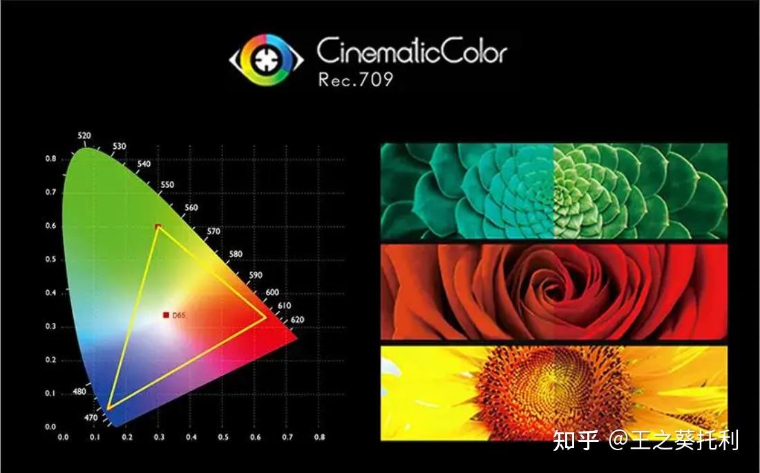 最新色流详解，步骤指南与操作指南