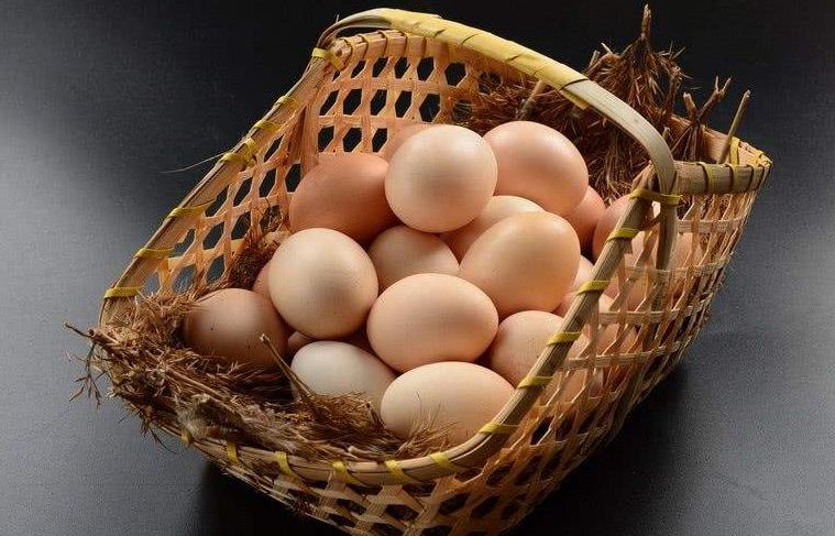 最新肉鸡价格,最新肉鸡价格大揭秘📣🐔