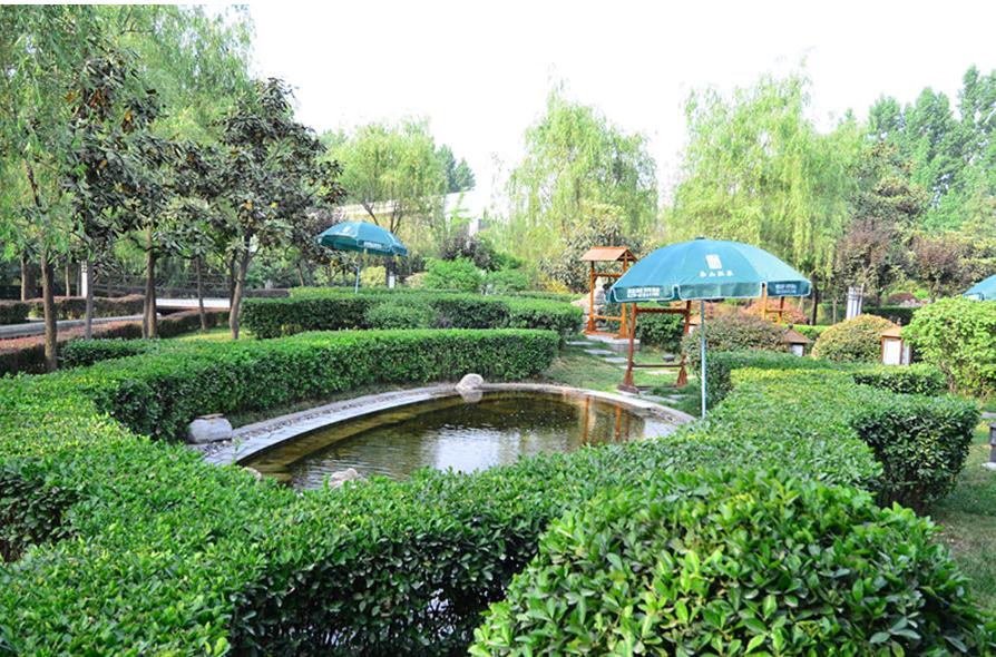 西安洗浴新探，自然美景之旅与内心平和的追寻