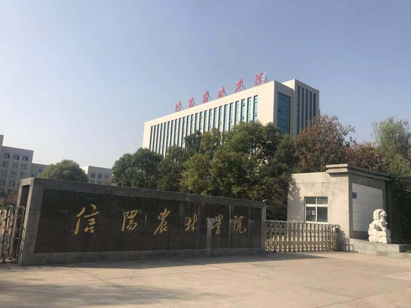小E最新观点阐述，深度解读与分析