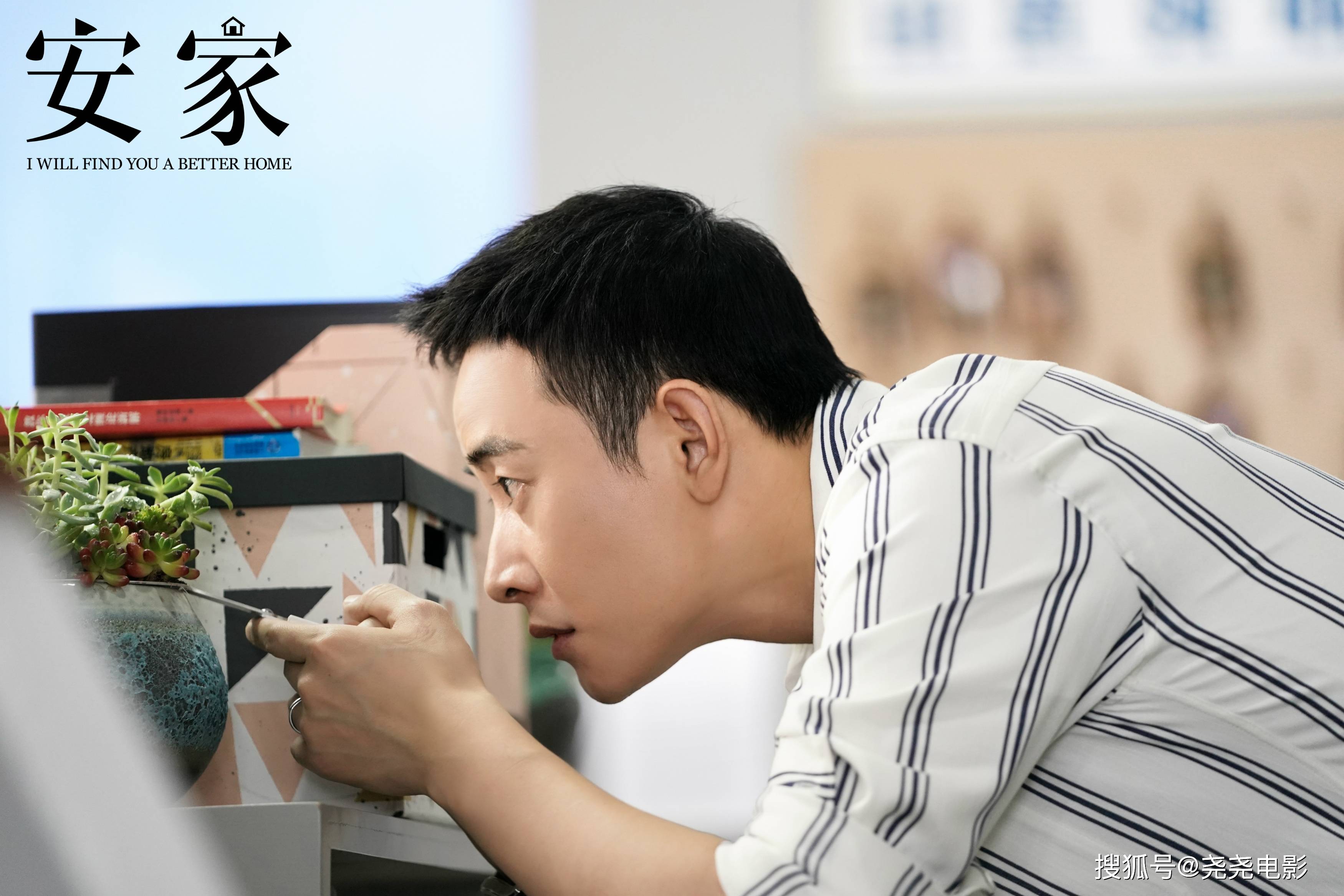 安家最新感想,巷弄深处的独特风味