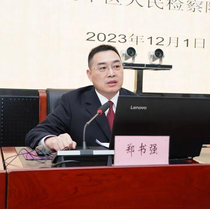 郑书最新动态与趋势探索