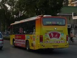 桂林最新班车，欢笑与陪伴的旅程